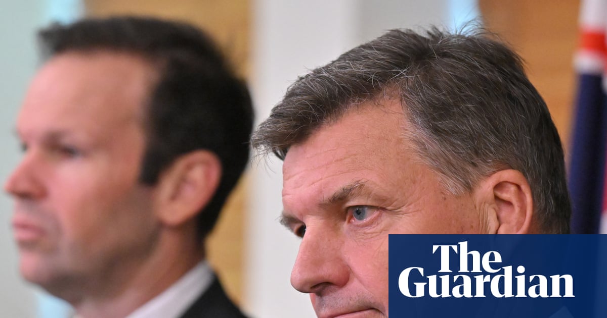 Coalition to back One Nation policy barring overseas Australians with terrorist links from returning home