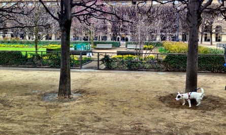Until recently, dogs were allowed in just 16% of parks, gardens and squares in Paris.