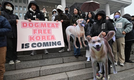 Animal rights activists hold dog cut-outs and placards reading: 'Dog meat free Korea is coming.'