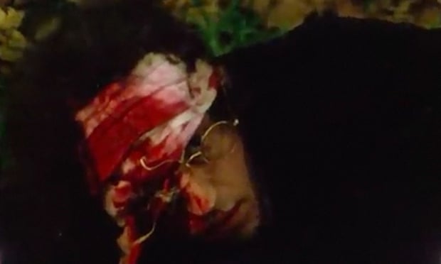 Arthur Dignam arsenic a Fyne with a bloodied bandage astir his head