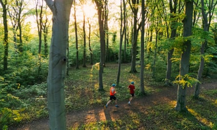 Elevated view of two runners on a trail through a sunlit forest.