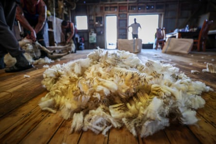 A pile of recently shorn fleece to be baled at Pukeatua Farm, north of Auckland