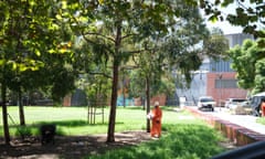 Asbestos-contaminated mulch being removed from a park in Sydney’s Surry Hills last week
