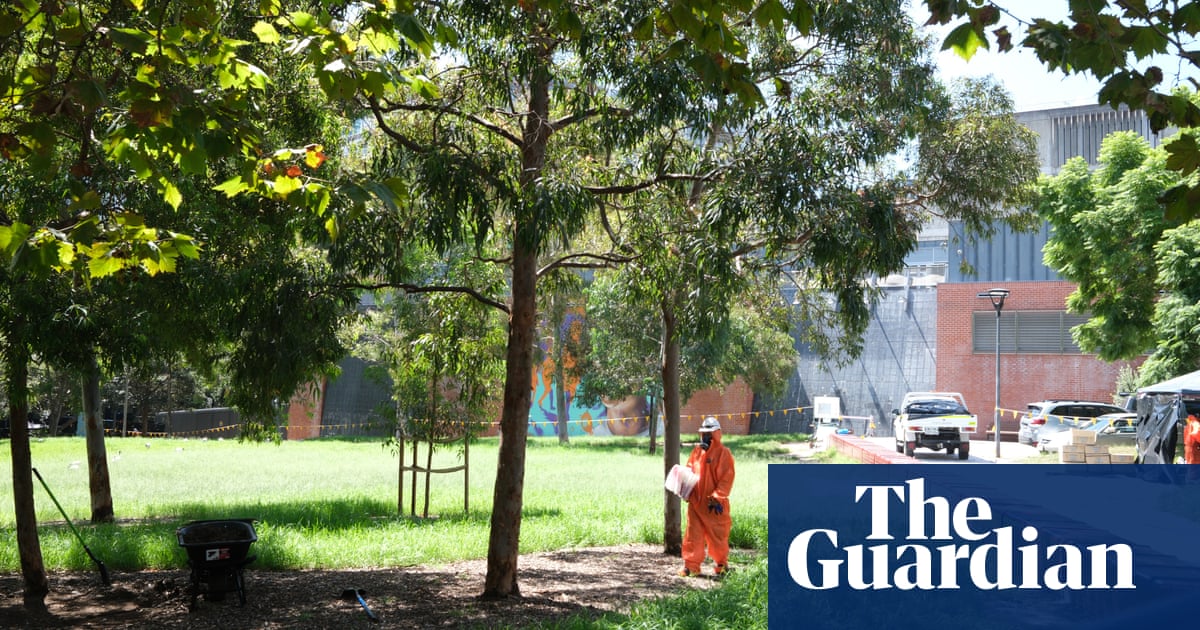 NSW to double penalties for worst environmental crimes in wake of asbestos crisis | New South Wales