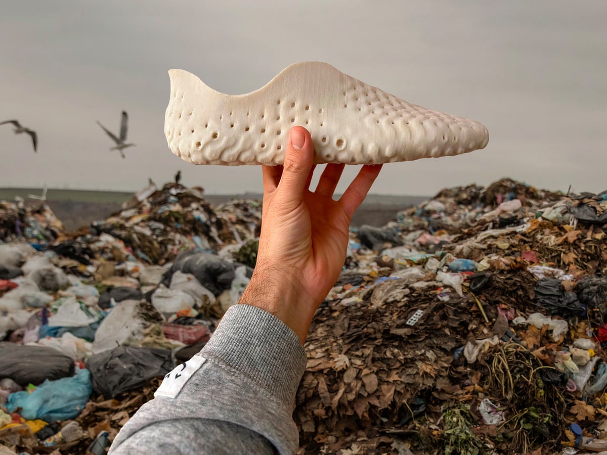 biodegradable 3d printed shoes