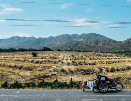 A huge green field with mountains behind.