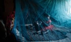 Fears for spread of malaria in Africa as study finds resistance to frontline drug