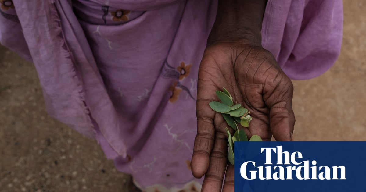 Almost 300m people at risk of death through starvation  report