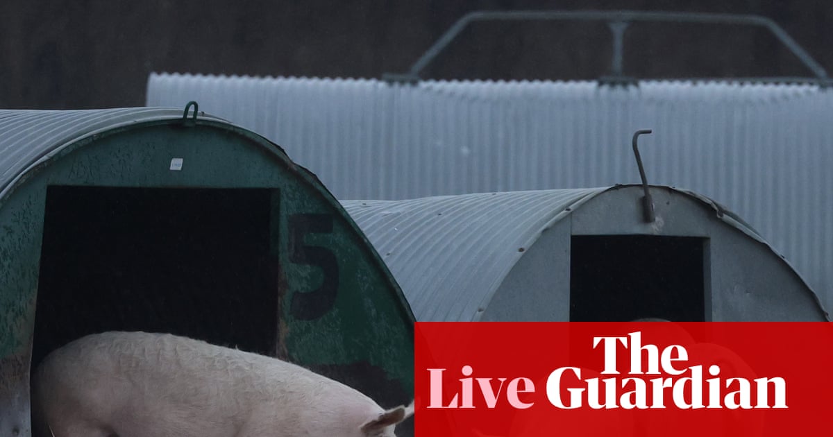 Ministers defend ‘most ambitious animal welfare strategy in generation’ before publication – UK politics live