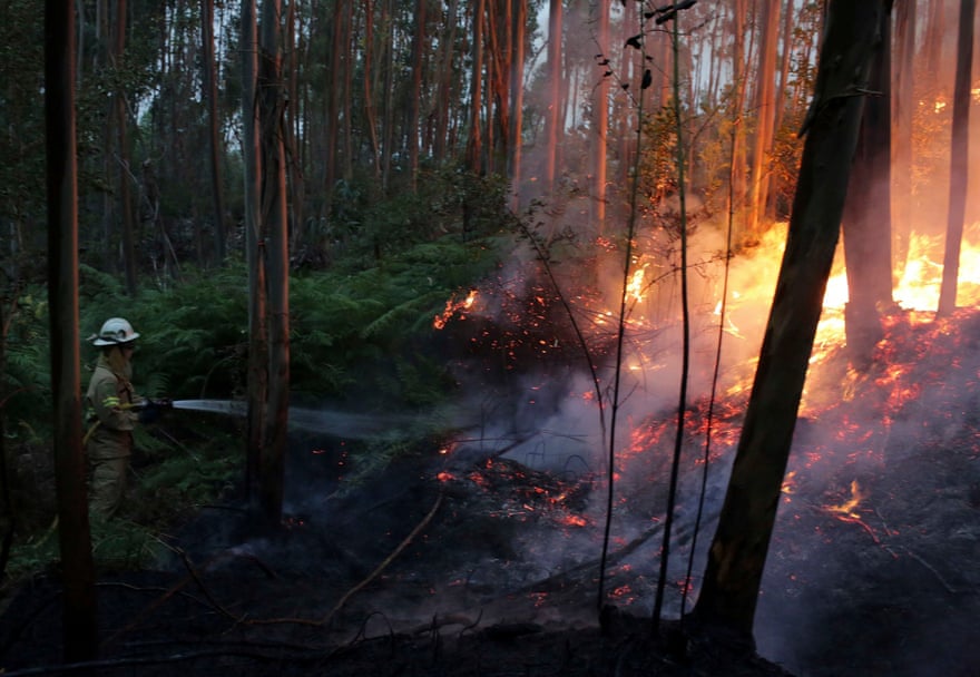 Firefighters work to prevent a fire from reaching the village of Avelar Photograph: Armando Franca/AP