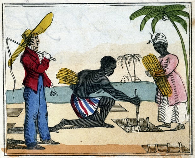 Enslaved people working in the cane fields, 1826. Much of Britain’s wealth came from sugar.