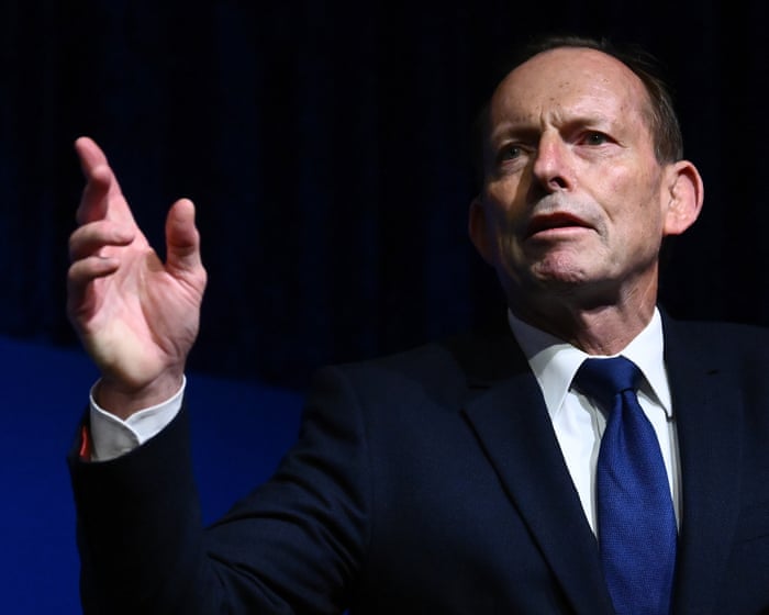 Shark expert says Tony Abbott ‘doesn’t understand the science’ after former PM calls for cull