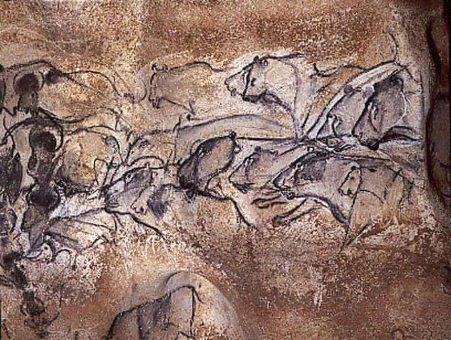 Lions, rhino and buffalos drawn in charcoal more than 30,000 years ago in the Chauvet cave in south-east France.