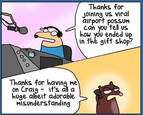 Cartoon by First Dog on the Moon titled Airport Possum, panel 3