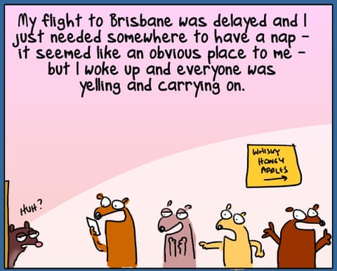 Cartoon by First Dog on the Moon titled Airport Possum, panel 4