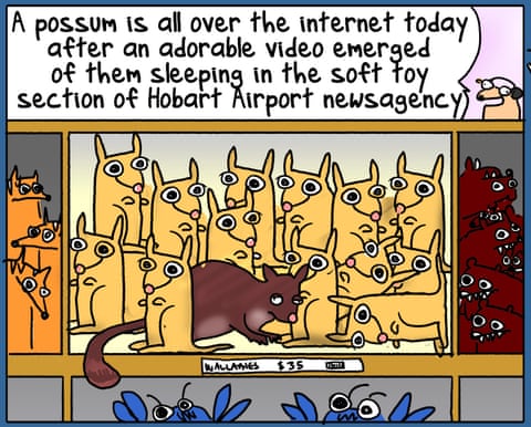 Cartoon by First Dog on the Moon titled Airport Possum, panel 2