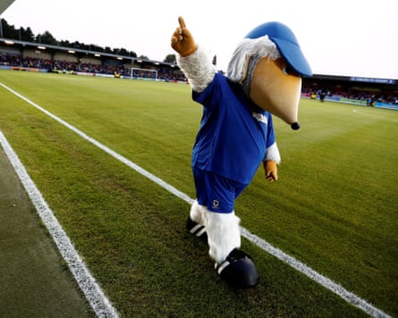 AFC Wimbledon’s mascot Haydon the Womble