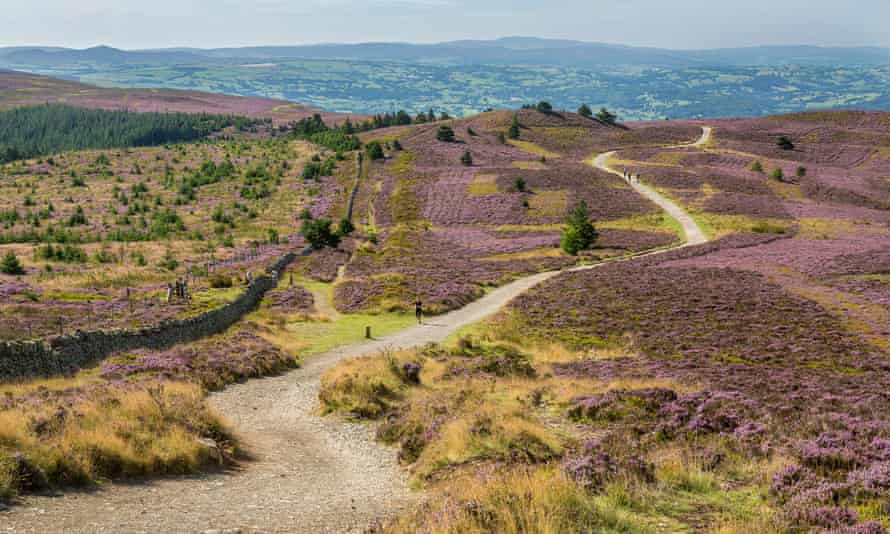 Offa's Dyke Trail