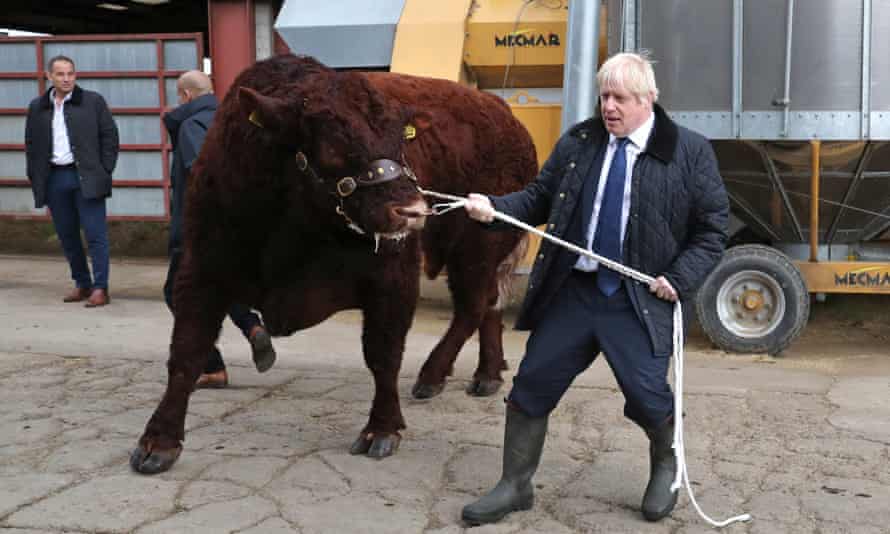 Boris Johnson with a bull