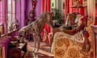 A dog's breakfast: John Stanmeyer's best phone picture