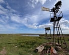 Country diary: This ‘secret’ island takes me back to Swallows and Amazons | Amy-Jane Beer