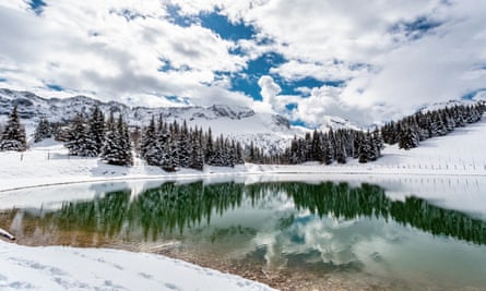 Lake among snowy trees