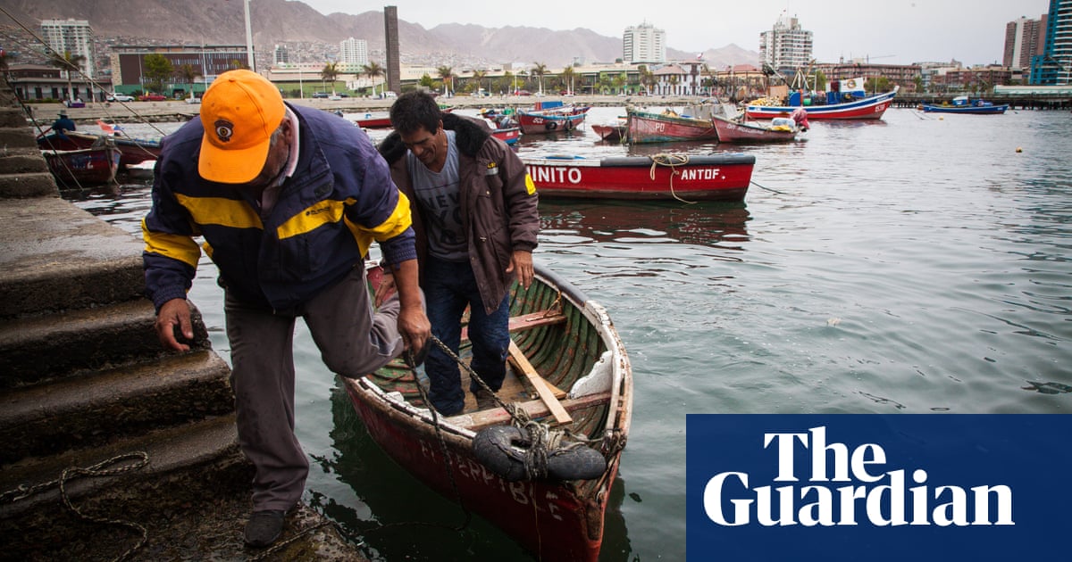 'The salt they pump back in kills everything': is the cost of Chile's fresh water too high? - The Guardian