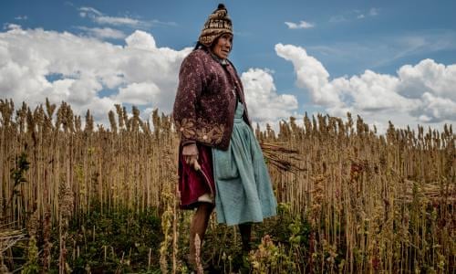 The Quinoa Farmers Of Peru In Pictures Guardian Sustainable Business The Guardian