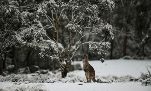 Wintry Weather Set To Bring Snow Hail And Thunderstorms To Australia S South East Australia Weather The Guardian