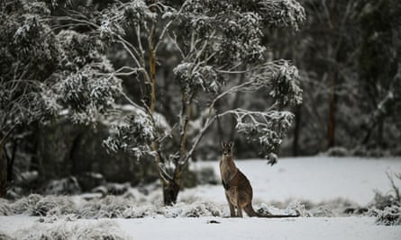 Cold Weather Rain And Damaging Winds To Slam South Eastern Australia Australia Weather The Guardian