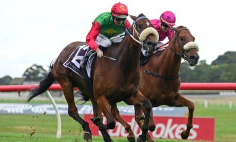 Horses race at Sandown Hillside on 7 December 2022