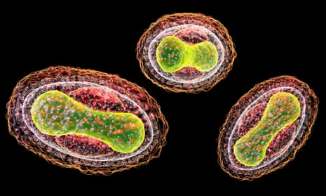 Smallpox virus.