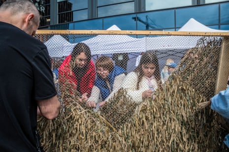 Adults and children make camouflage nets at a street festival in Lviv to help the Ukrainian military.