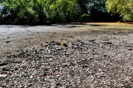 This pond in Caversham Park in Berkshire has completely dried up in the extreme heat.