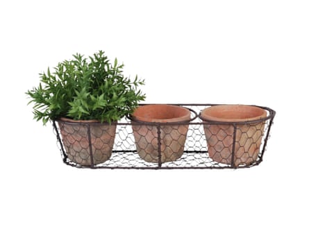 Fallen Fruits three terracotta plant pots in a wire basket