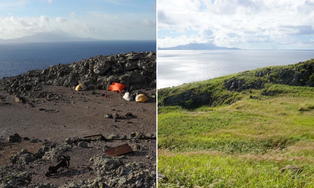 A fixed point image shows the transformation of Redonda in the Caribbean between 2016 and 2020, before and after black rats and feral goats were eradicated.