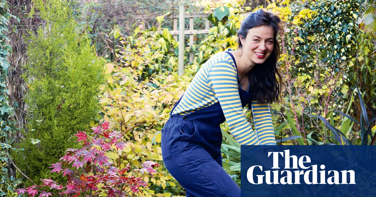 The Experts Guide To Making Your Garden Bloom On A Budget Money
