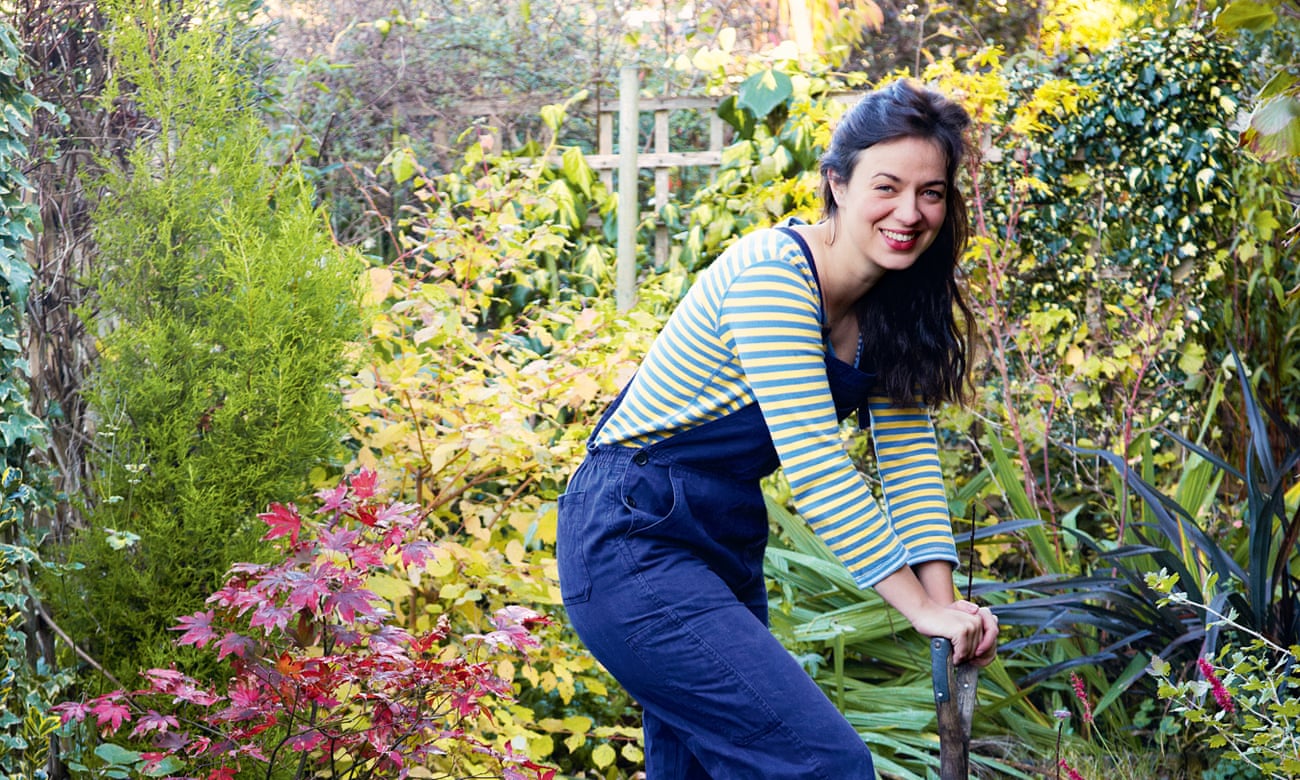 The experts' guide to making your garden bloom on a budget   Money ...