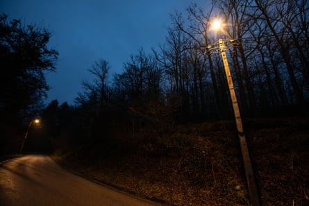 Two streetlights on a minor road lined by trees at night