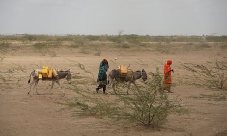 Women lead donkeys loaded with water from the Shabelle River. Most of the trees along the river’s banks have been lost to the charcoal industry.