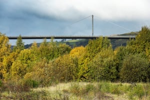 Trees and shrubland in Dalmuir