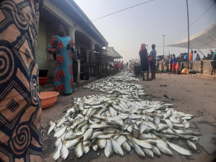 Fish laid out on sand.