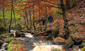 Walkers on a footpath surrounded by stunning autumn foliage in scenic Wyming Brook nature reserve in Sheffield city’s Peak District region