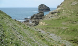 Vernal squill above Backways Cove.