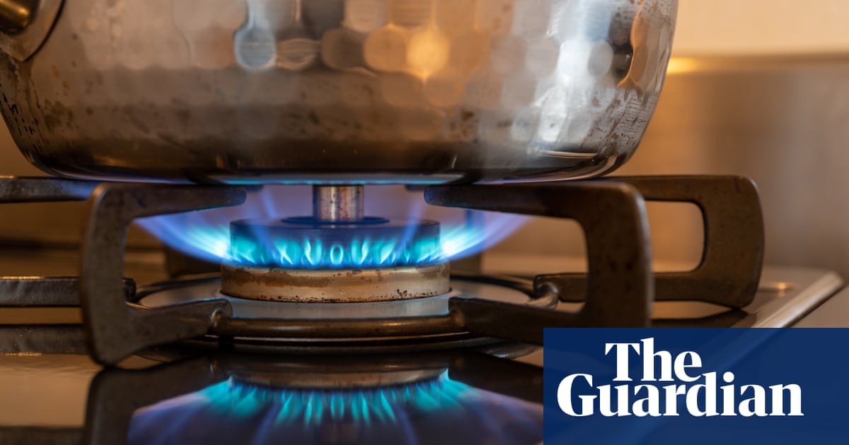 US renters worry about living with gas stoves amid new air pollution concerns
