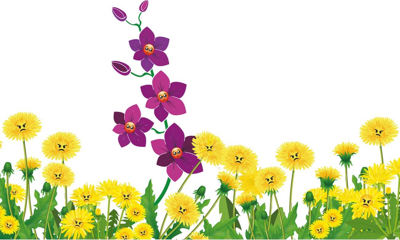 Are you anxious, introverted or just a 'highly sensitive ...