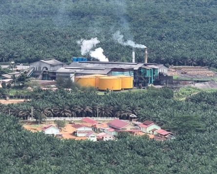 A palm-oil processing plant in West Kalimantan.