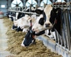 US ban on Canadian imports likely to weaken already fragile relationship