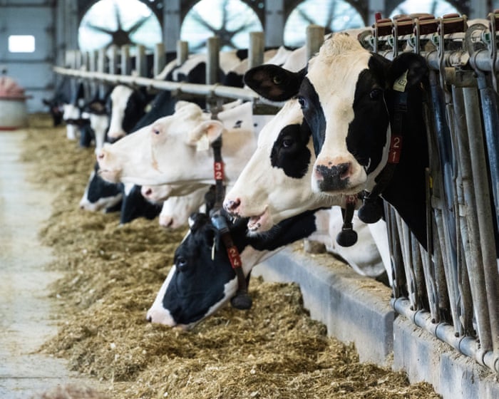 US ban on Canadian imports likely to weaken already fragile relationship