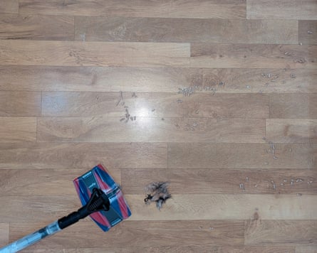 Dyson PencilVac Fluffycones after 2